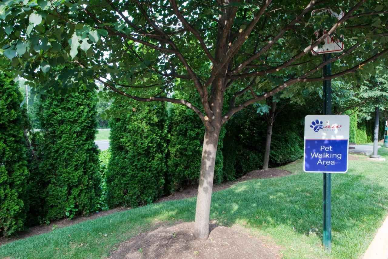 Candlewood Washington-fairfax By Ihg Hotel